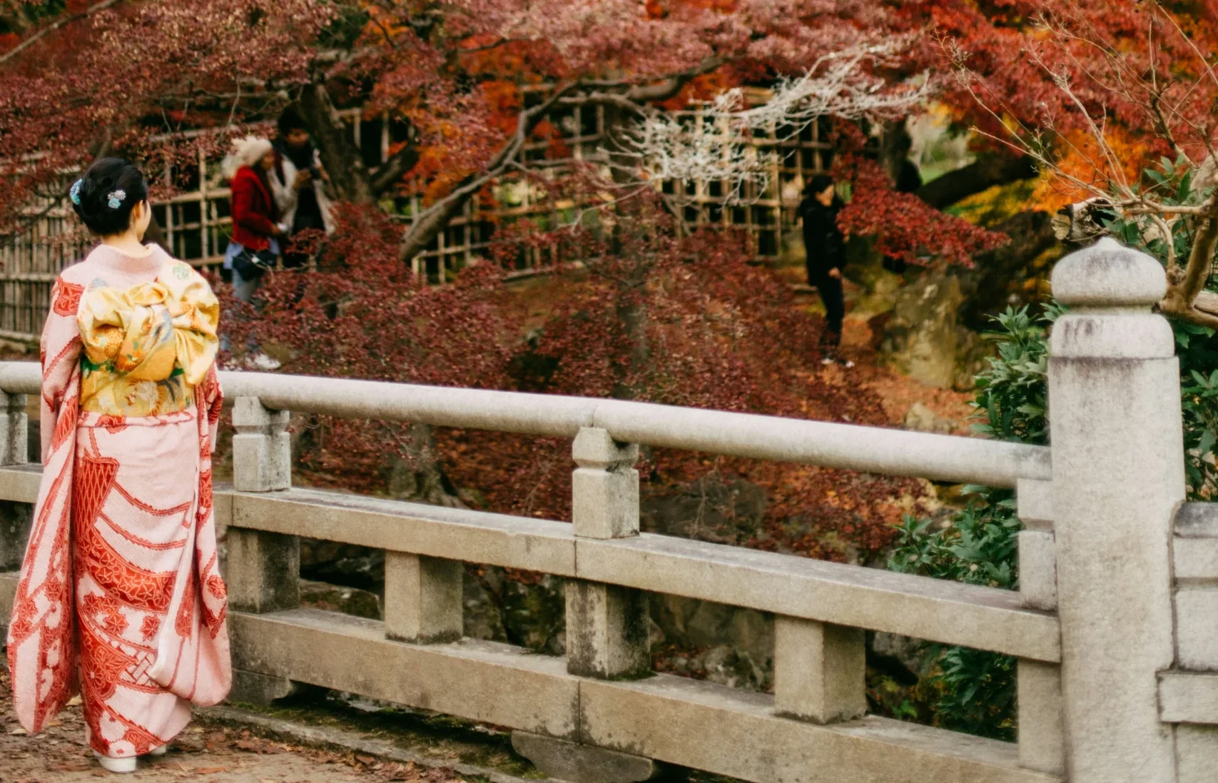 Watching the autumn leaves